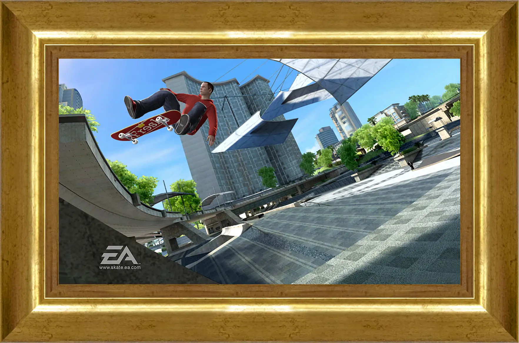 Картина в раме - Skate 3
