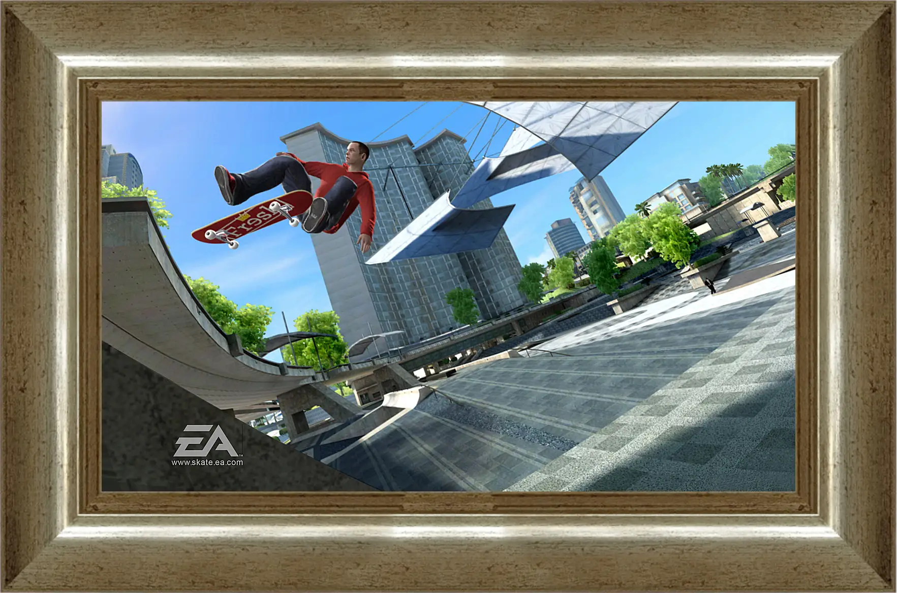 Картина в раме - Skate 3
