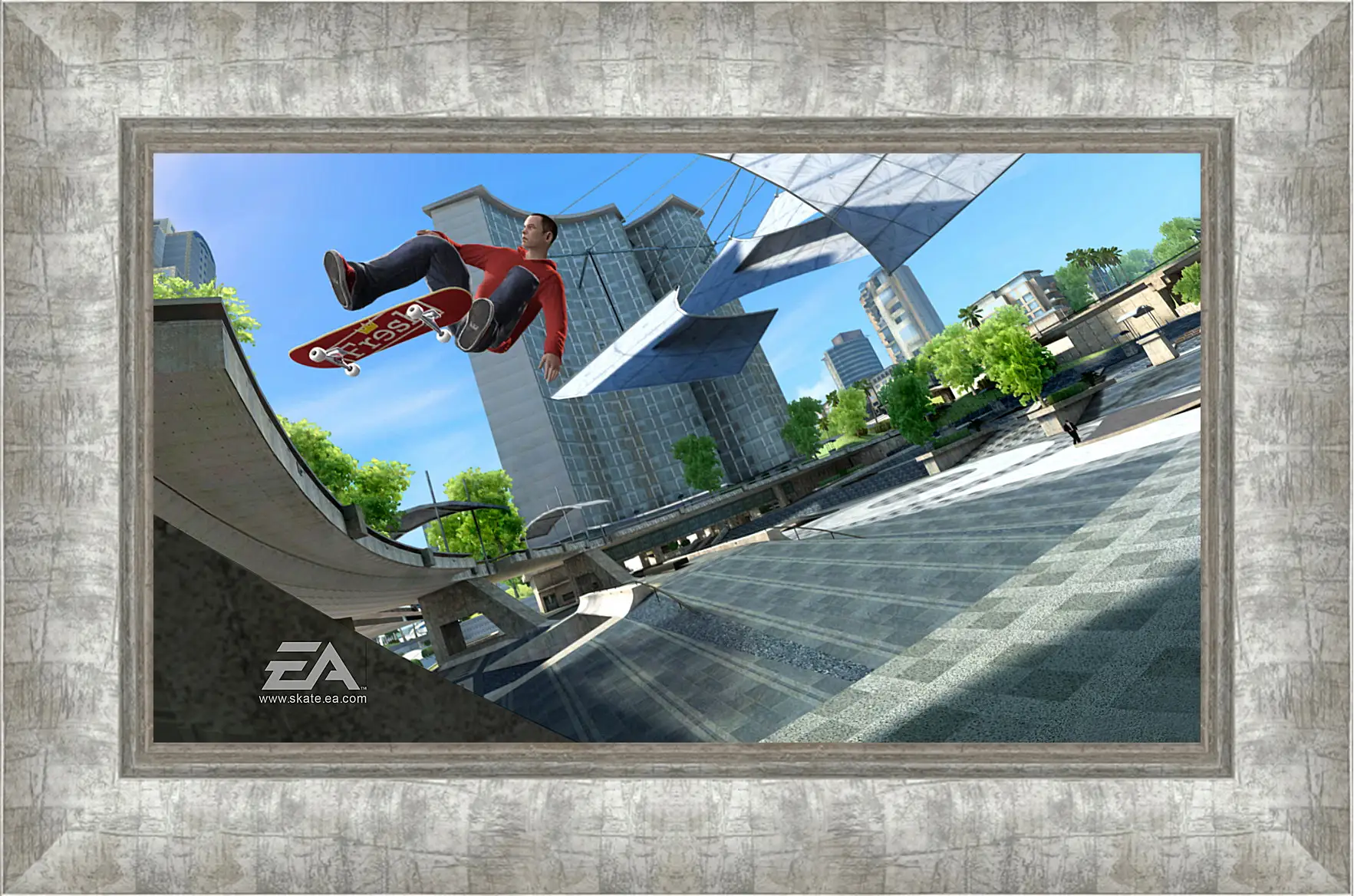 Картина в раме - Skate 3
