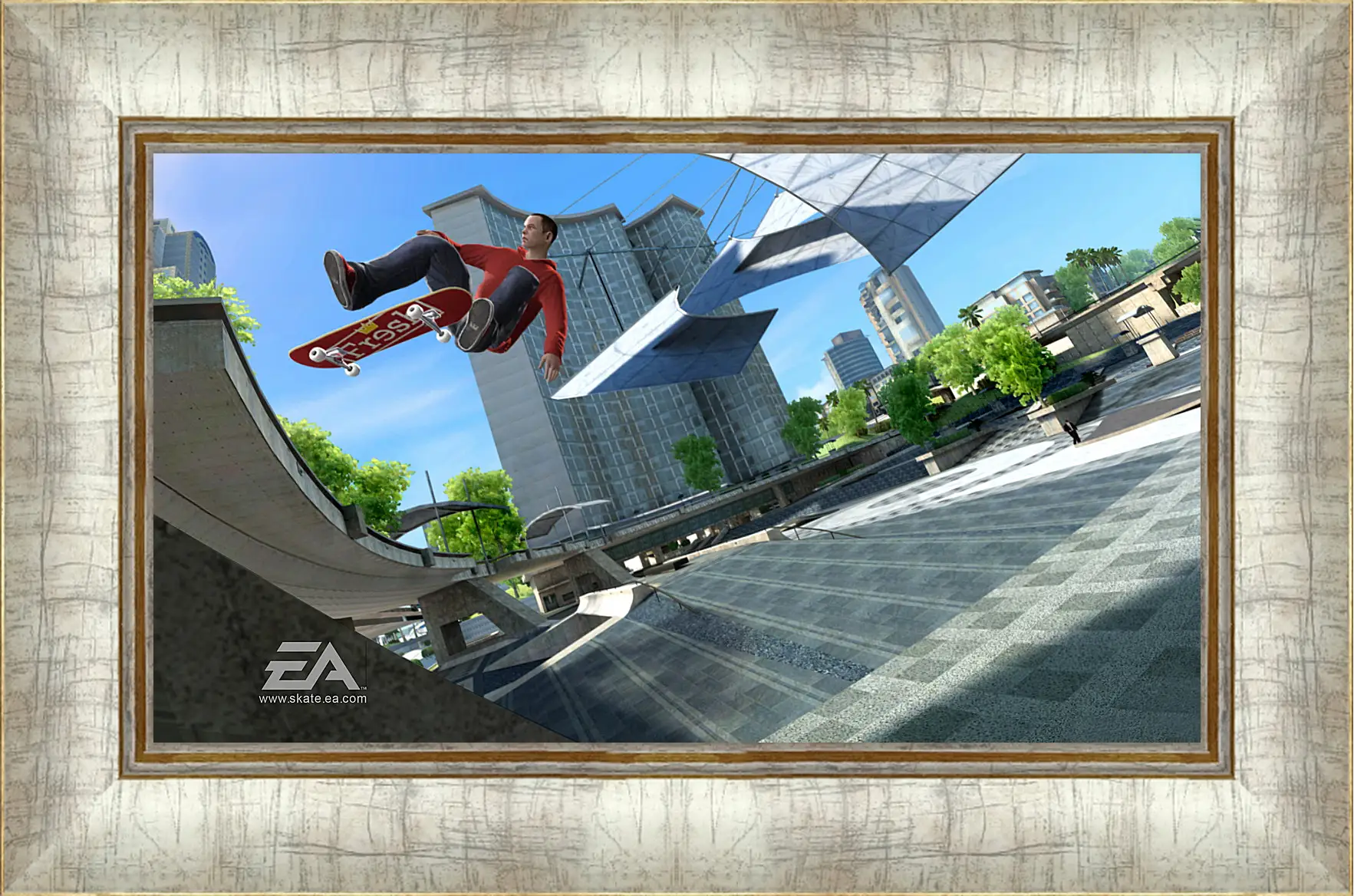 Картина в раме - Skate 3
