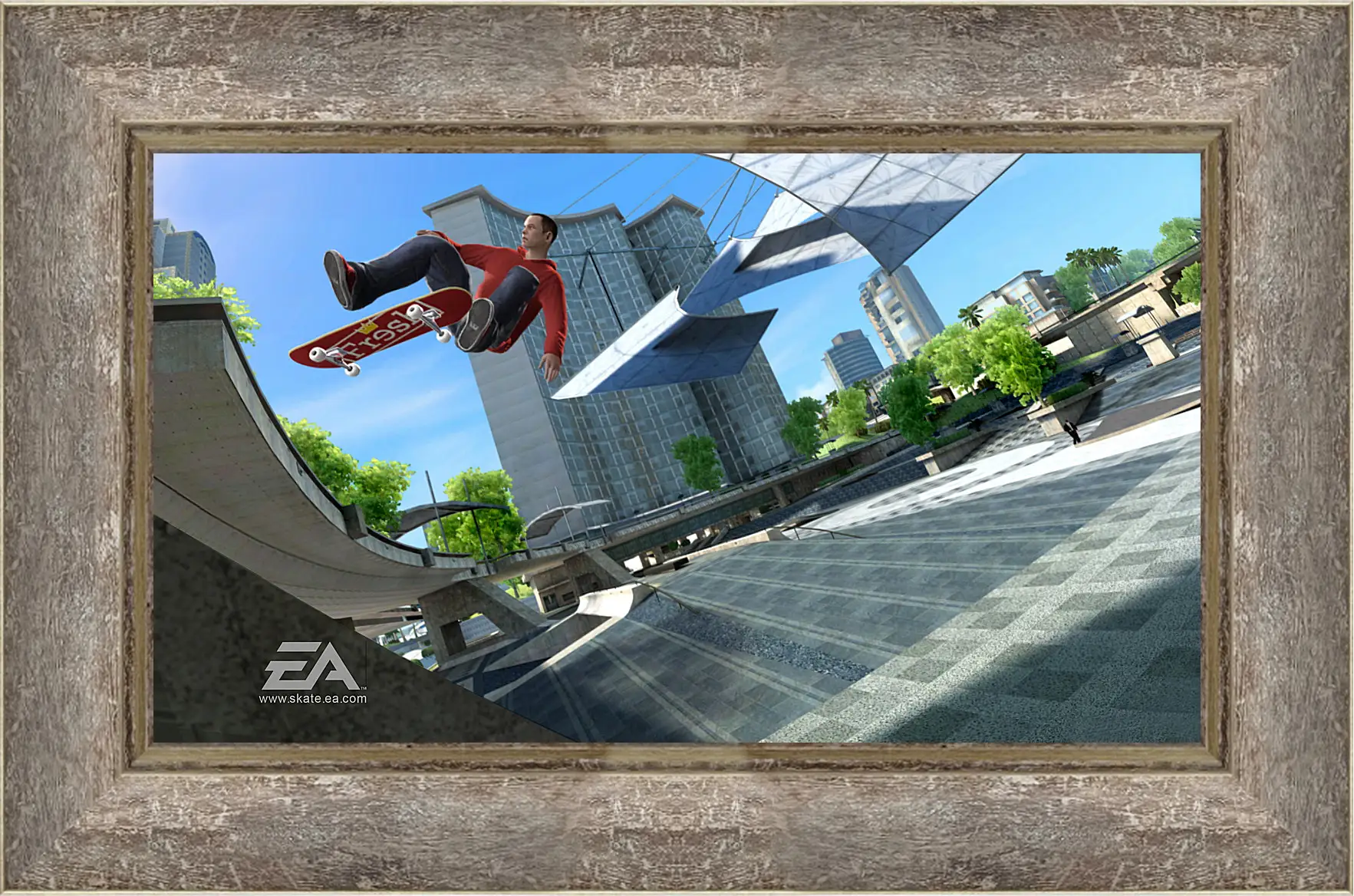 Картина в раме - Skate 3
