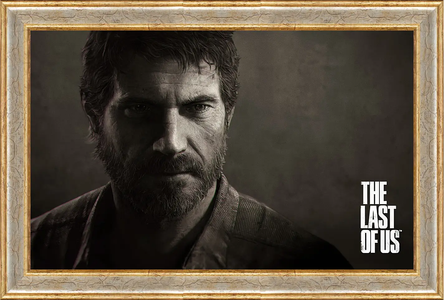 Картина в раме - The Last Of Us
