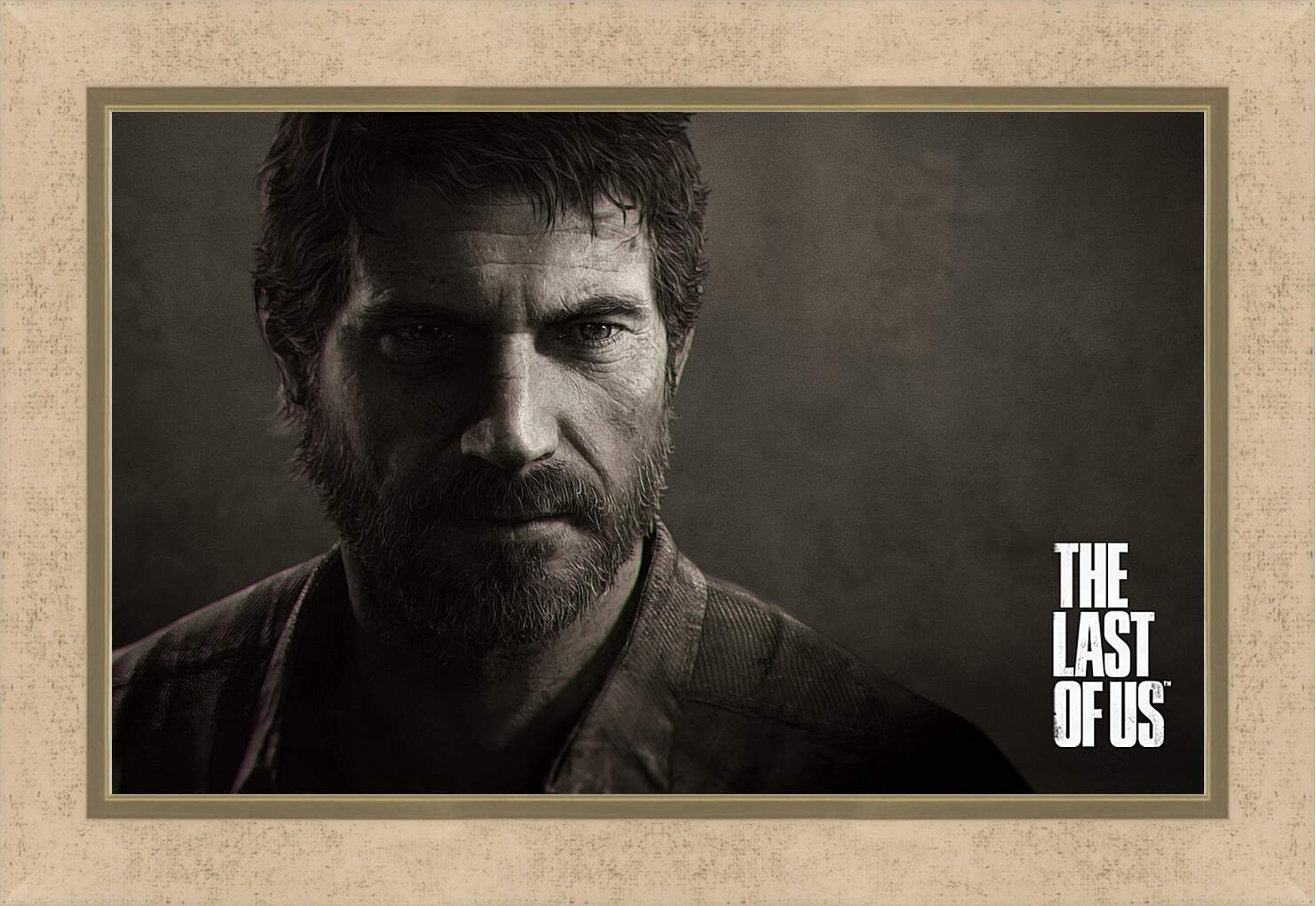 Картина в раме - The Last Of Us
