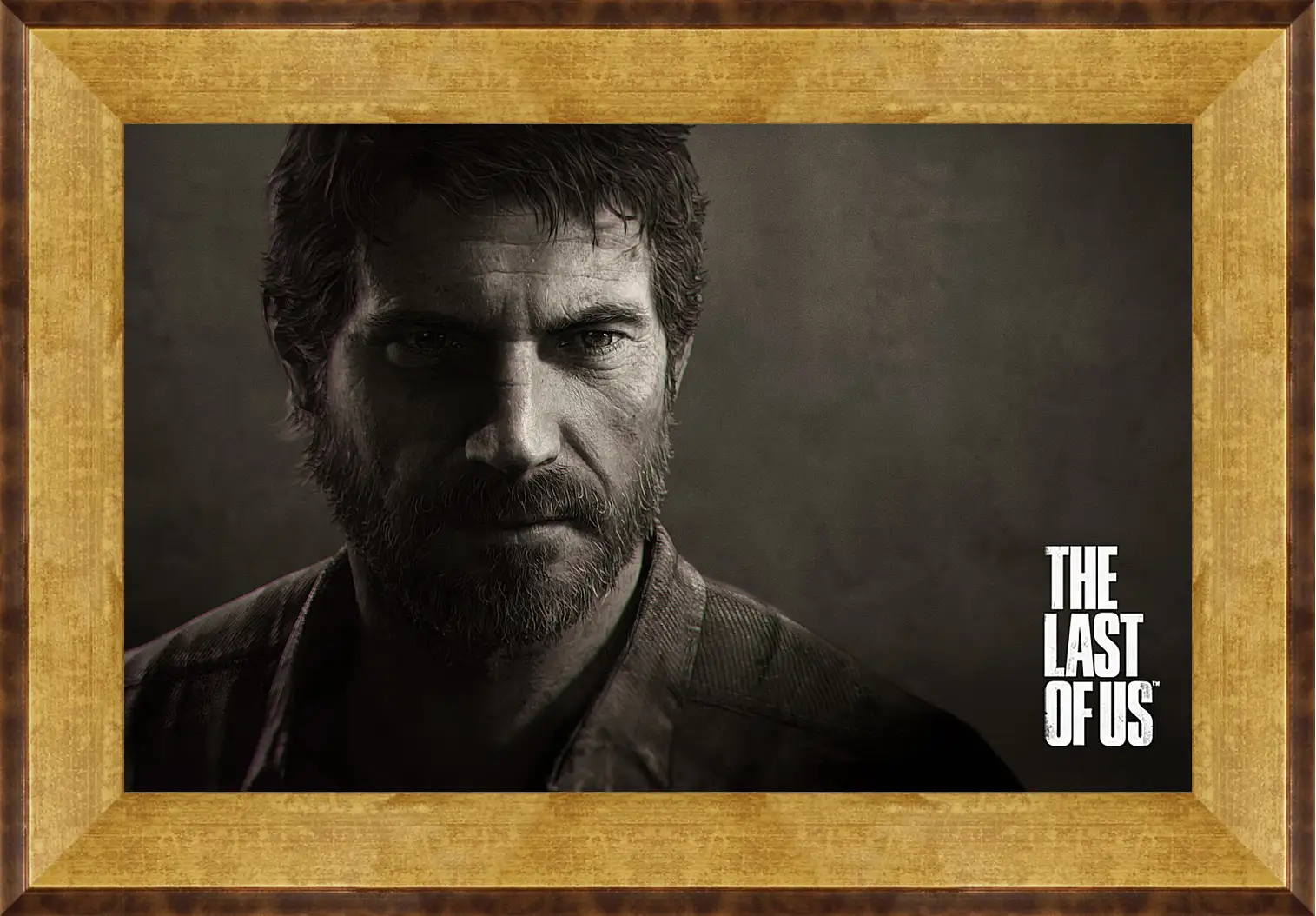 Картина в раме - The Last Of Us
