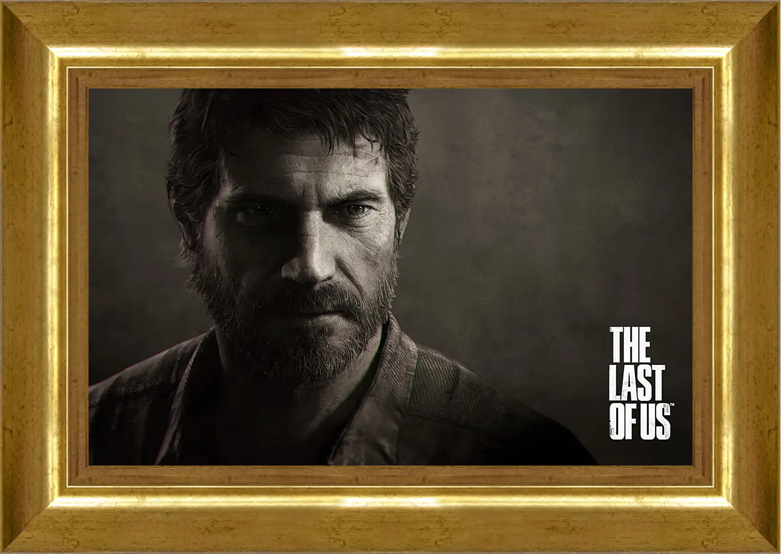 Картина в раме - The Last Of Us
