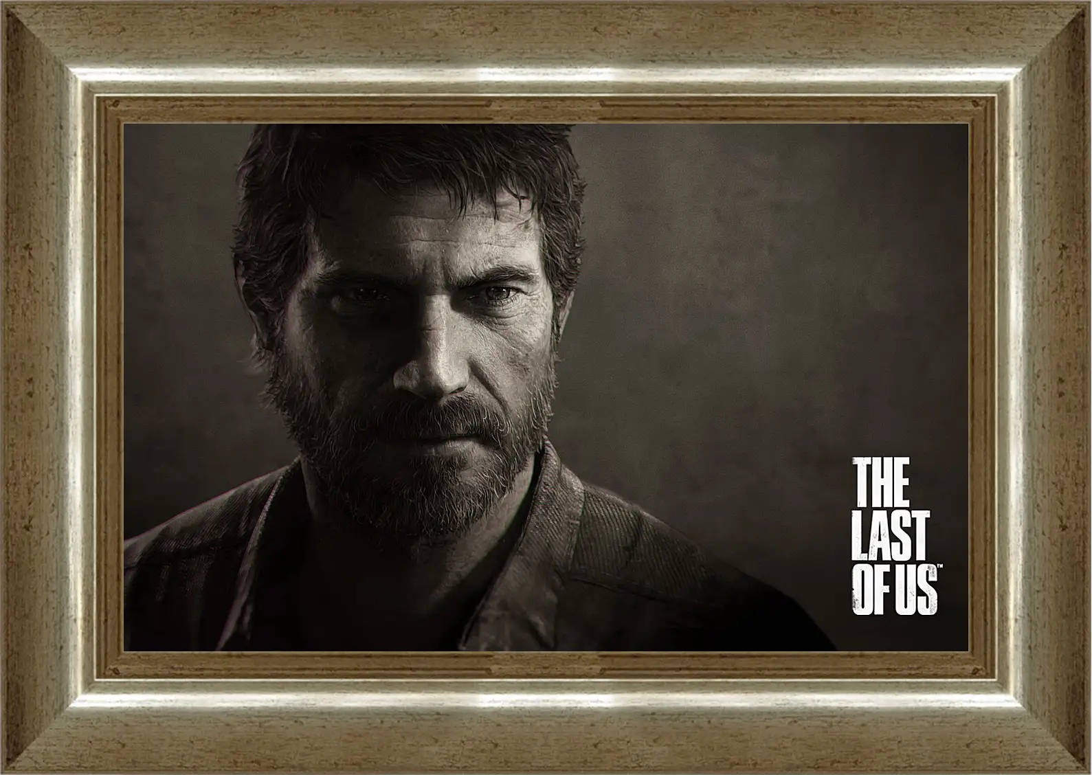 Картина в раме - The Last Of Us
