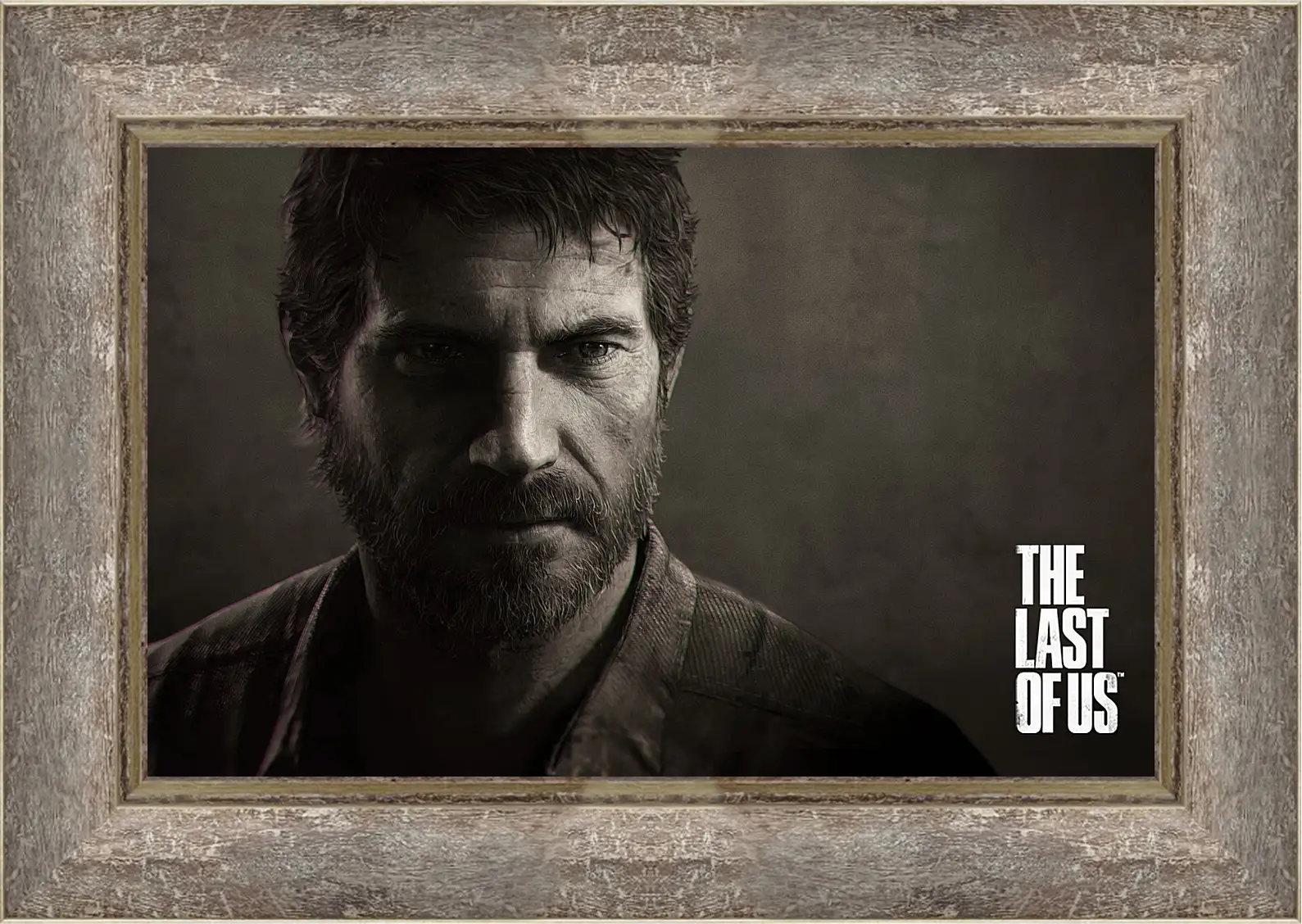 Картина в раме - The Last Of Us
