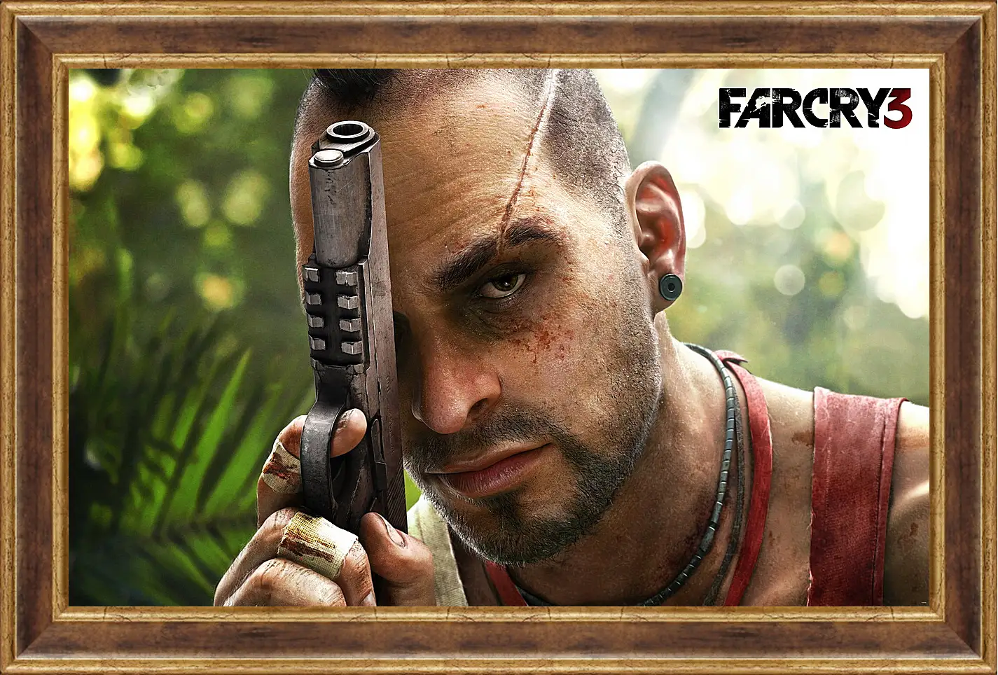 Картина в раме - Far Cry 3