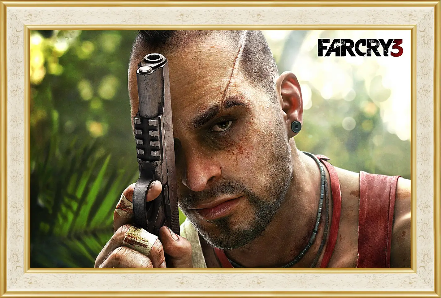 Картина в раме - Far Cry 3