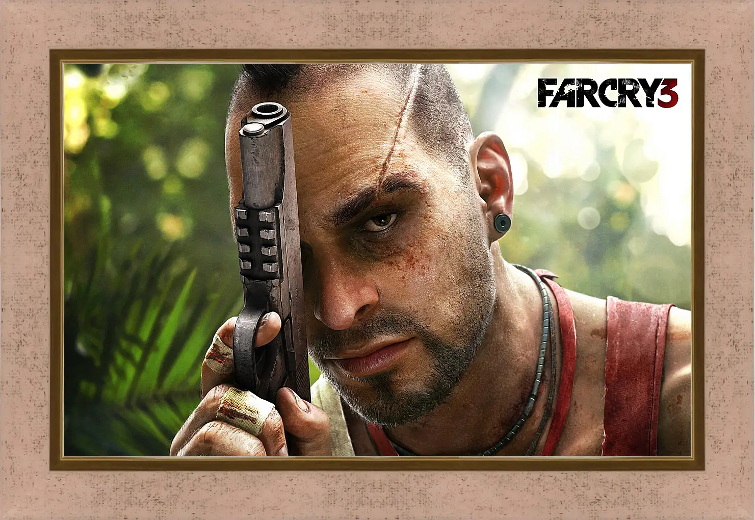 Картина в раме - Far Cry 3