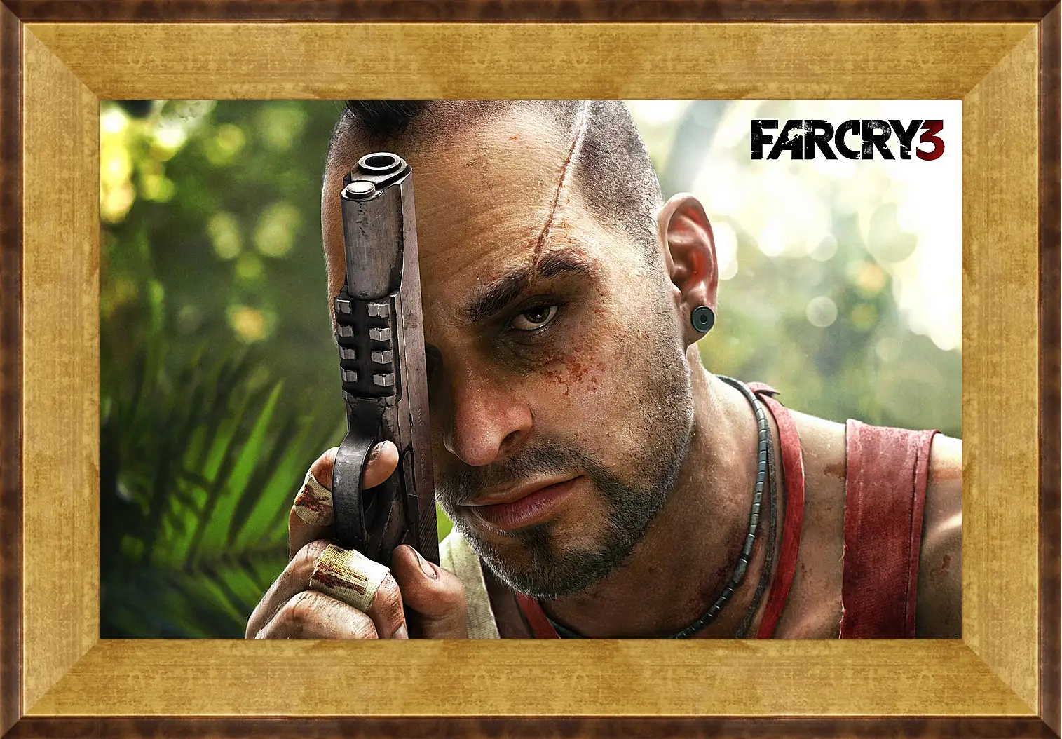 Картина в раме - Far Cry 3