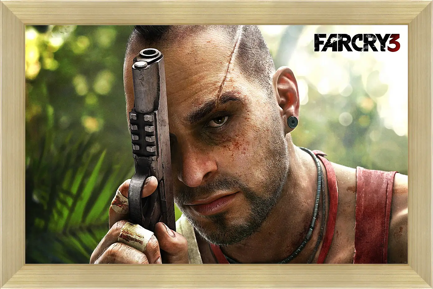 Картина в раме - Far Cry 3