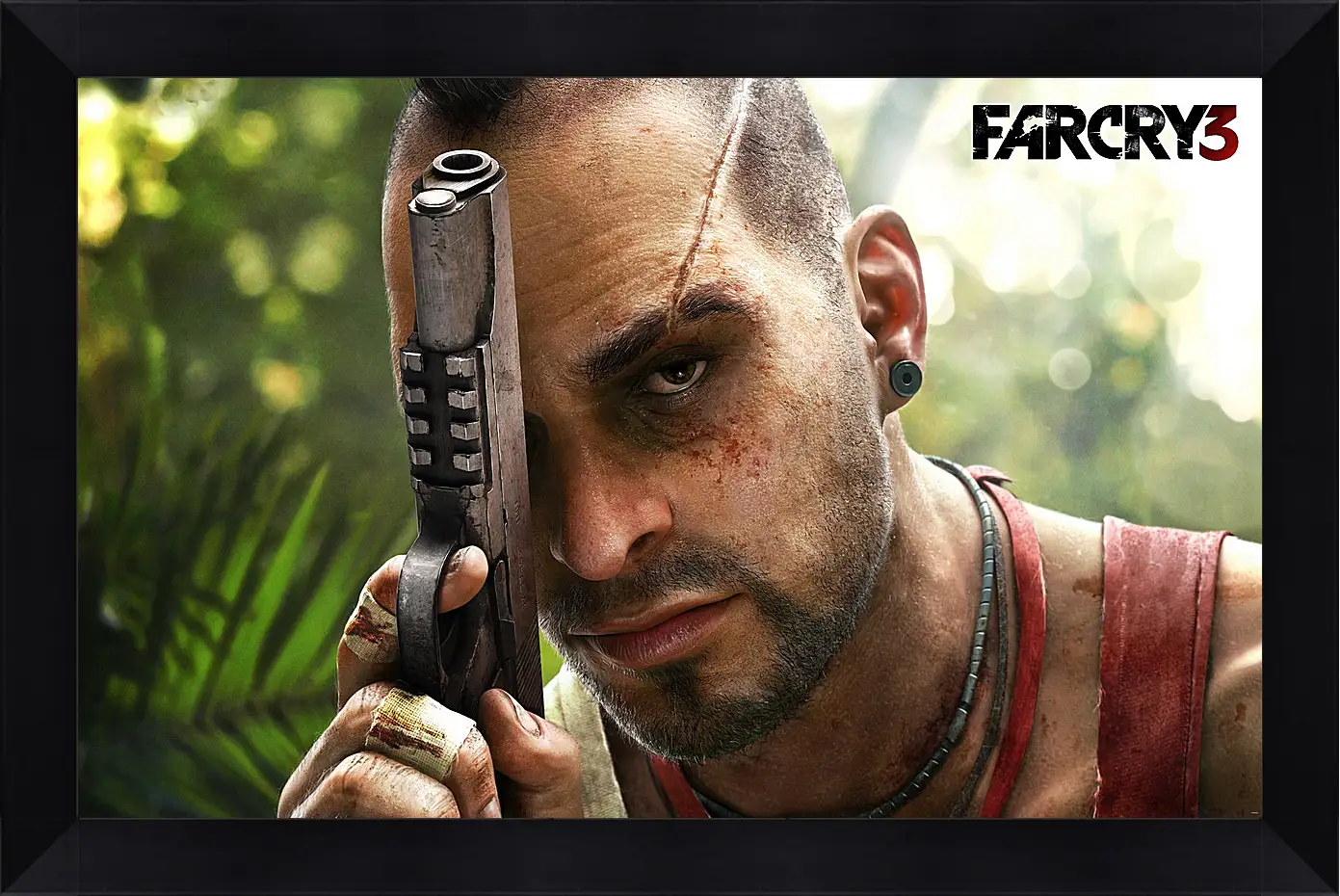 Картина в раме - Far Cry 3