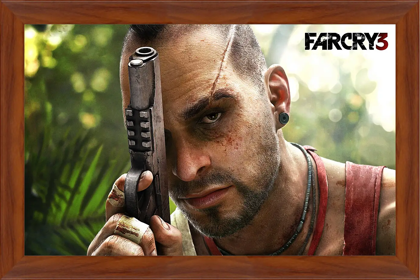 Картина в раме - Far Cry 3