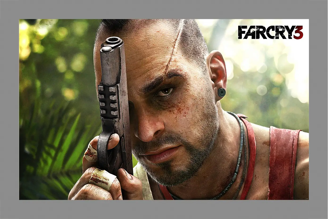 Картина в раме - Far Cry 3