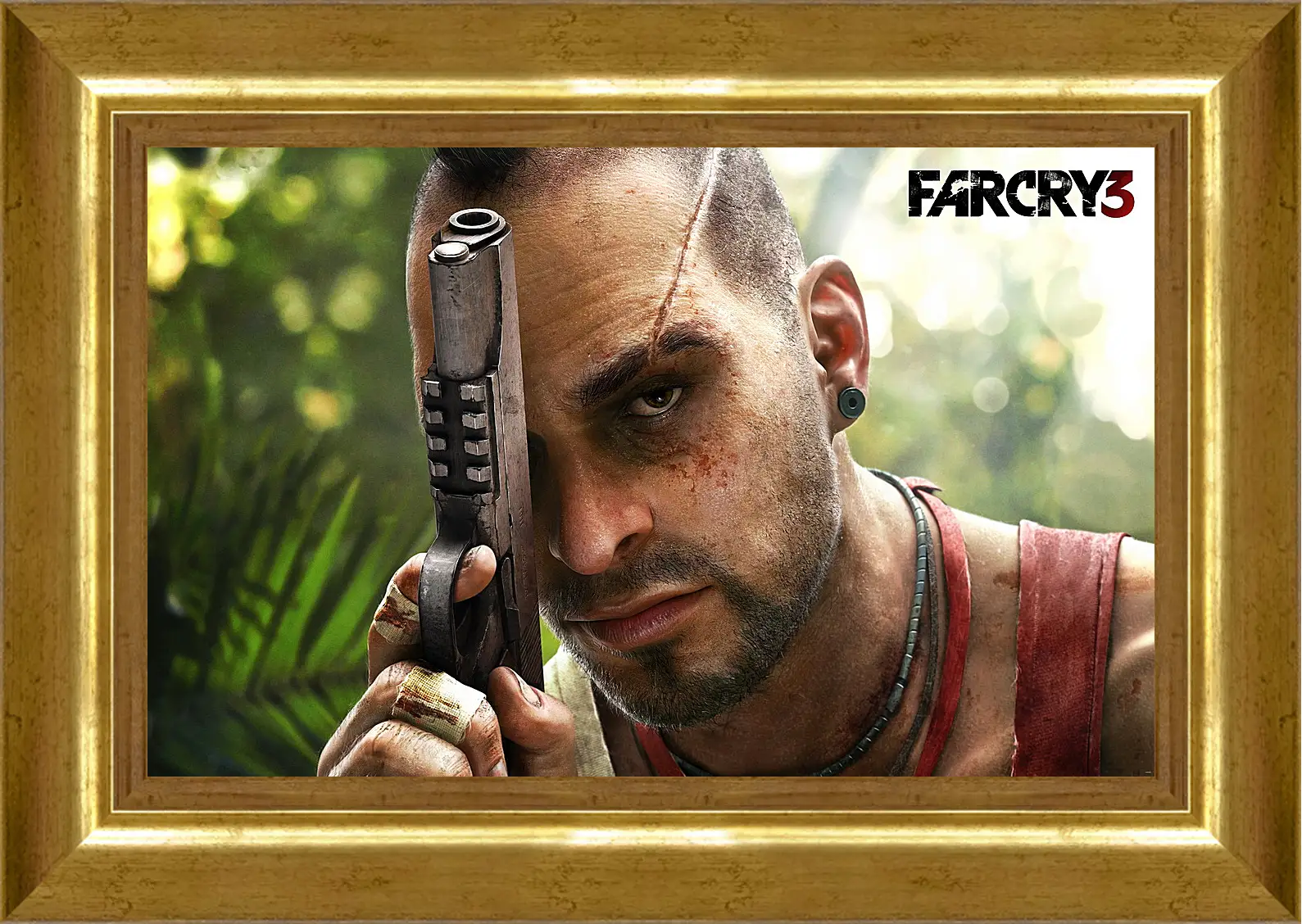 Картина в раме - Far Cry 3