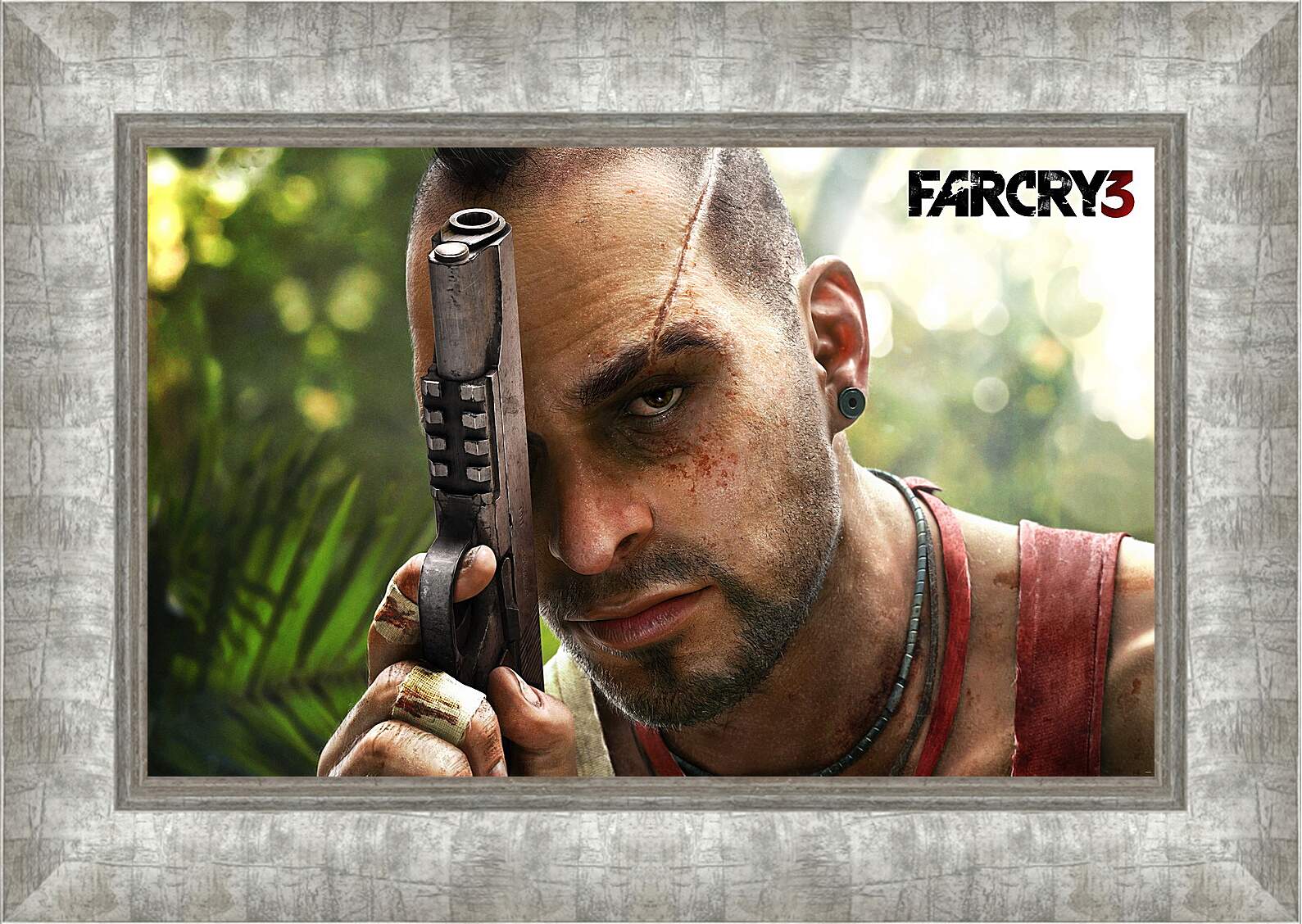 Картина в раме - Far Cry 3