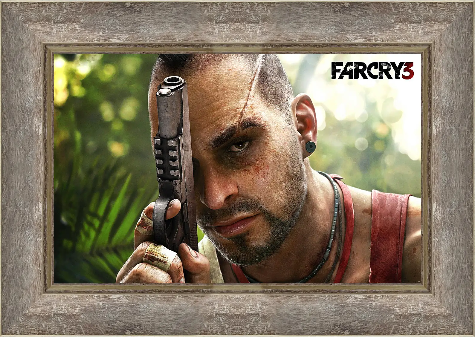 Картина в раме - Far Cry 3