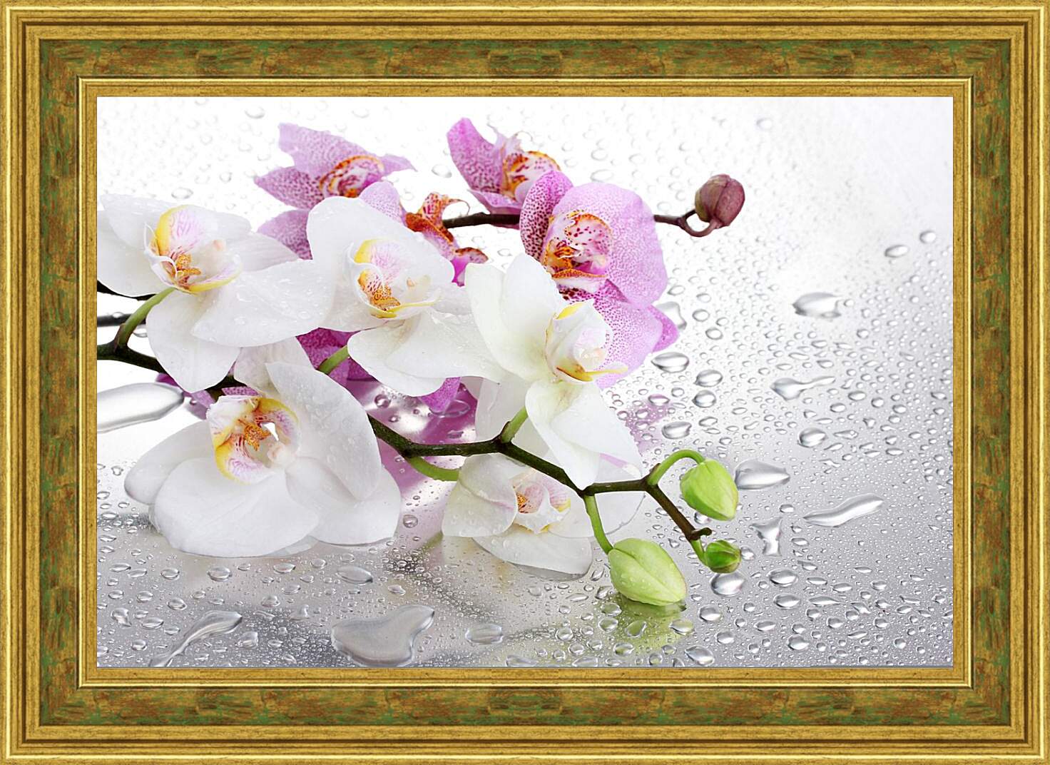 Картина в раме - Две веточки орхидей