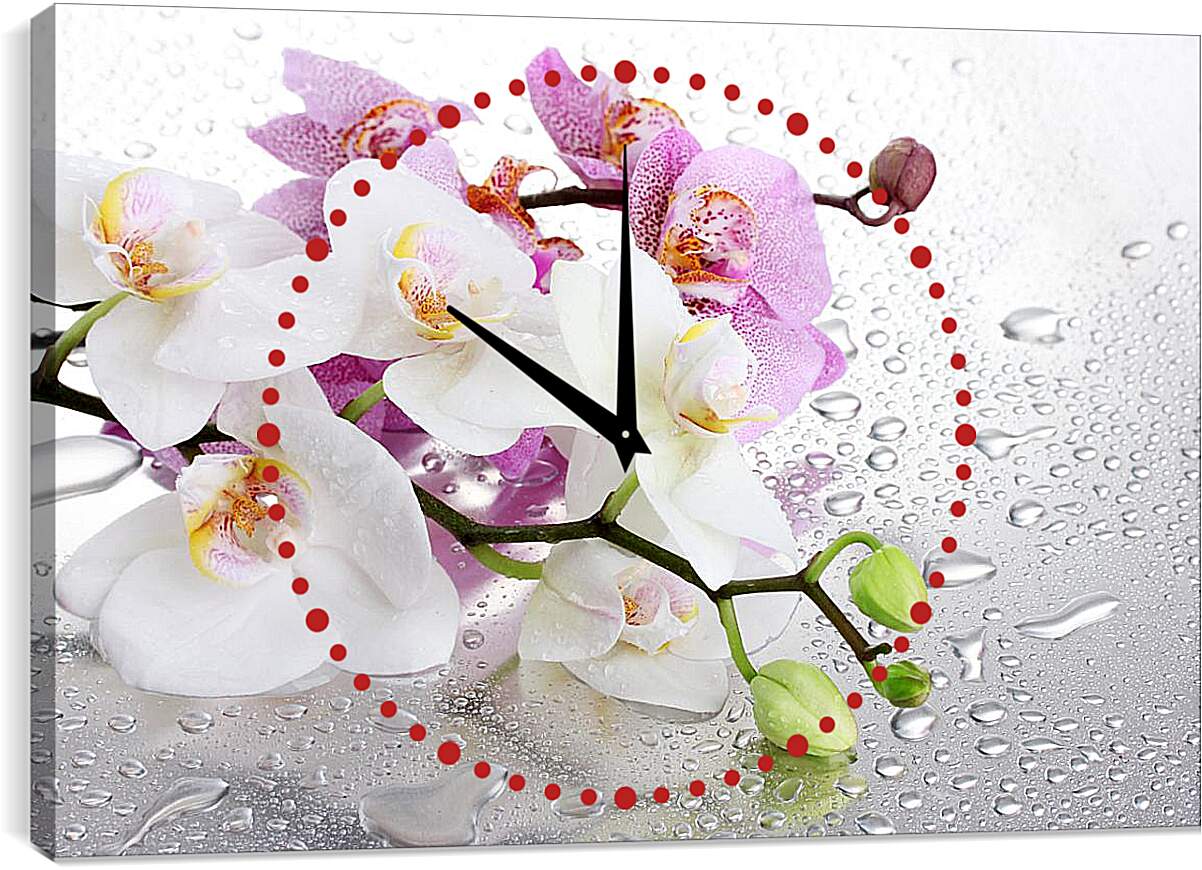 Часы картина - Две веточки орхидей