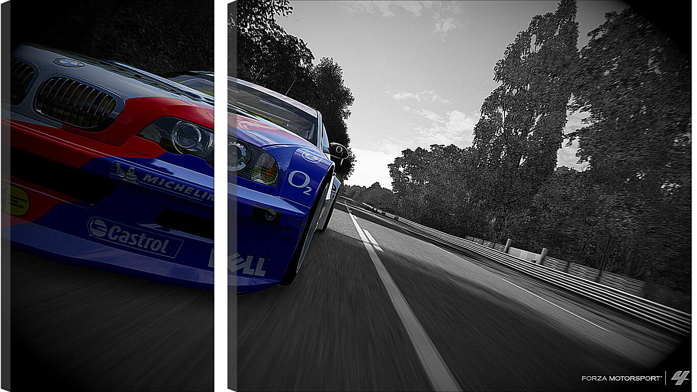 Модульная картина - Forza Motorsport
