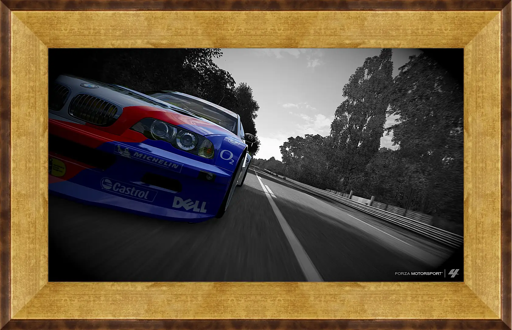 Картина в раме - Forza Motorsport
