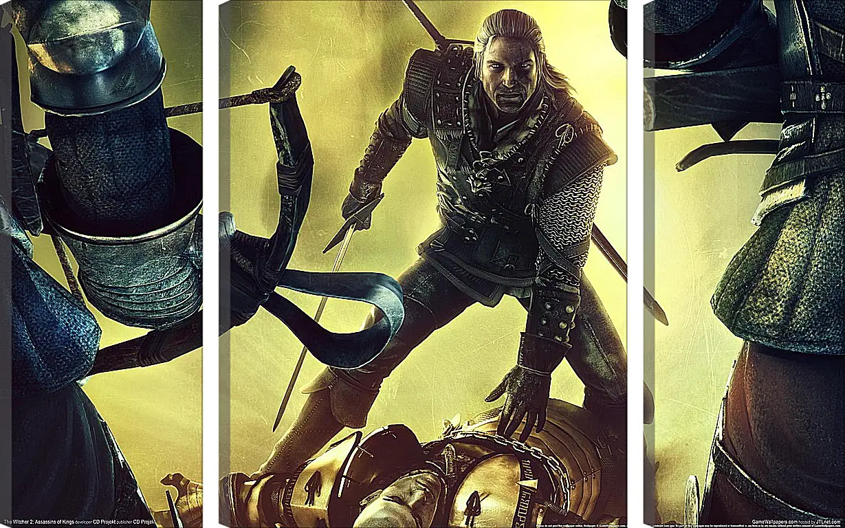 Модульная картина - The Witcher 2: Assassins Of Kings