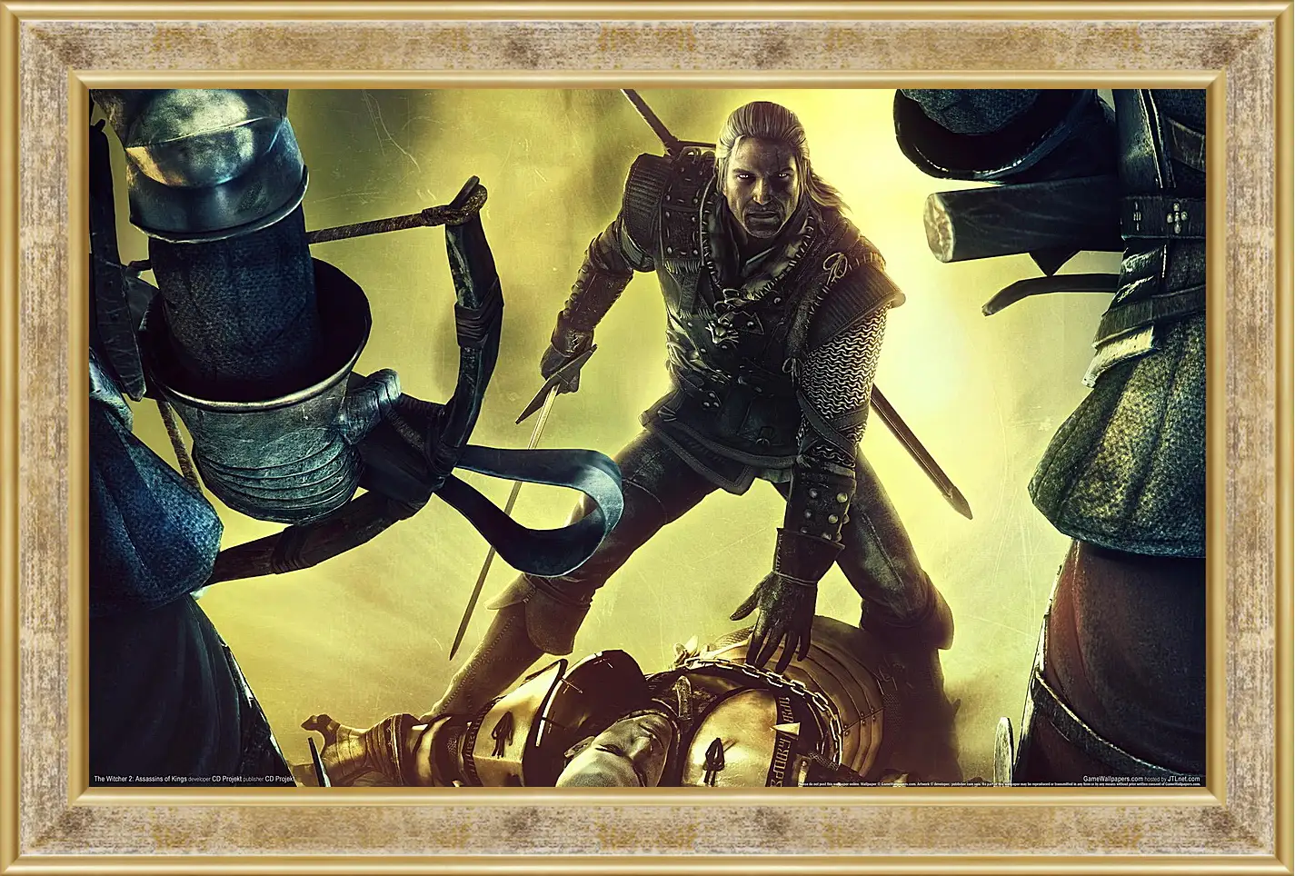 Картина в раме - The Witcher 2: Assassins Of Kings