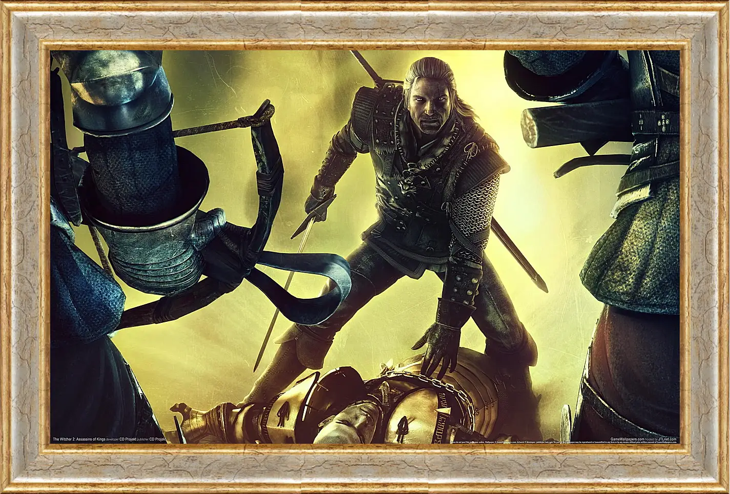 Картина в раме - The Witcher 2: Assassins Of Kings