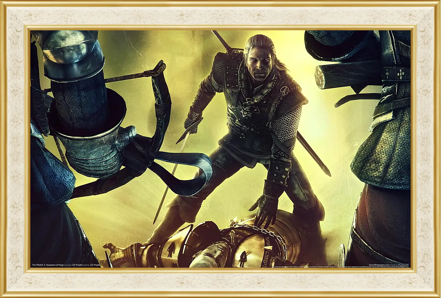 Картина в раме - The Witcher 2: Assassins Of Kings