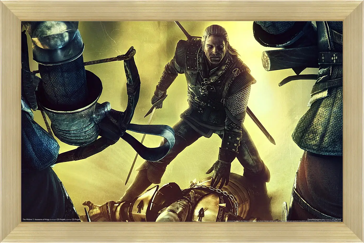 Картина в раме - The Witcher 2: Assassins Of Kings