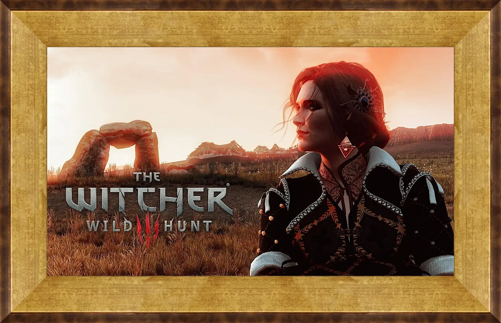 Картина в раме - The Witcher (Ведьмак), Трисс Меригольд из Марибора