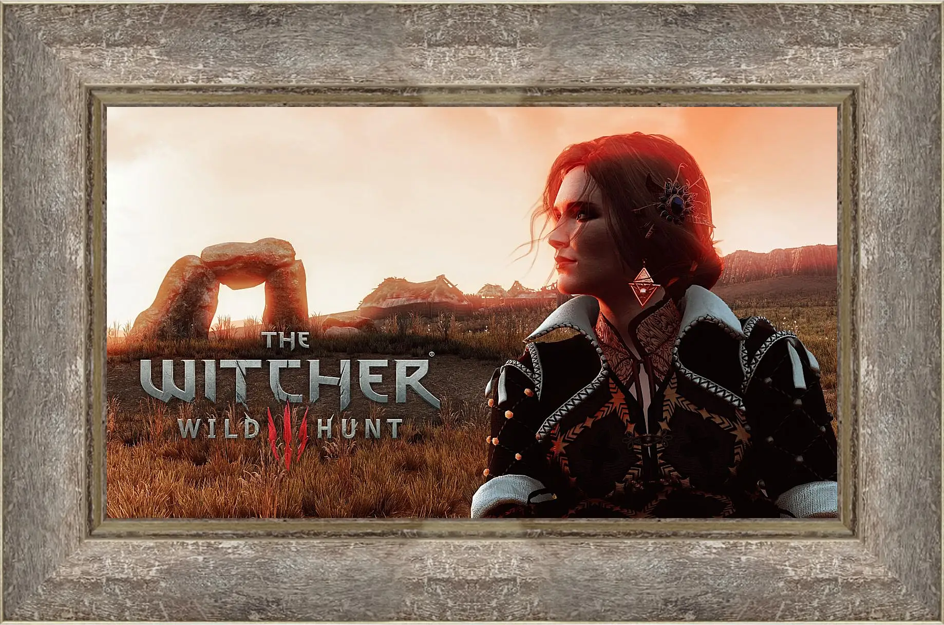 Картина в раме - The Witcher (Ведьмак), Трисс Меригольд из Марибора