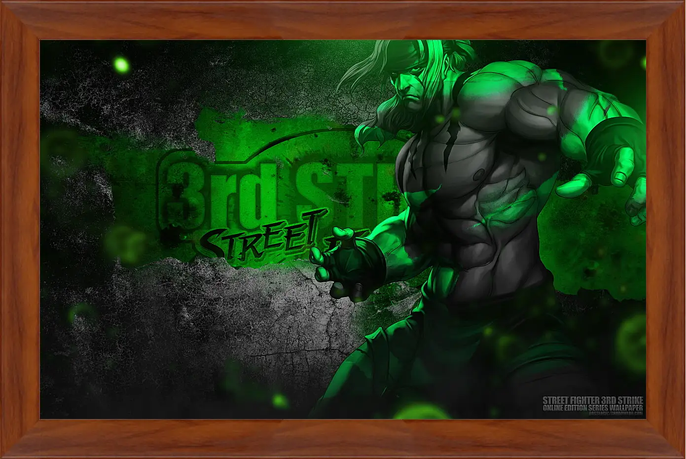 Картина в раме - Street Fighter
