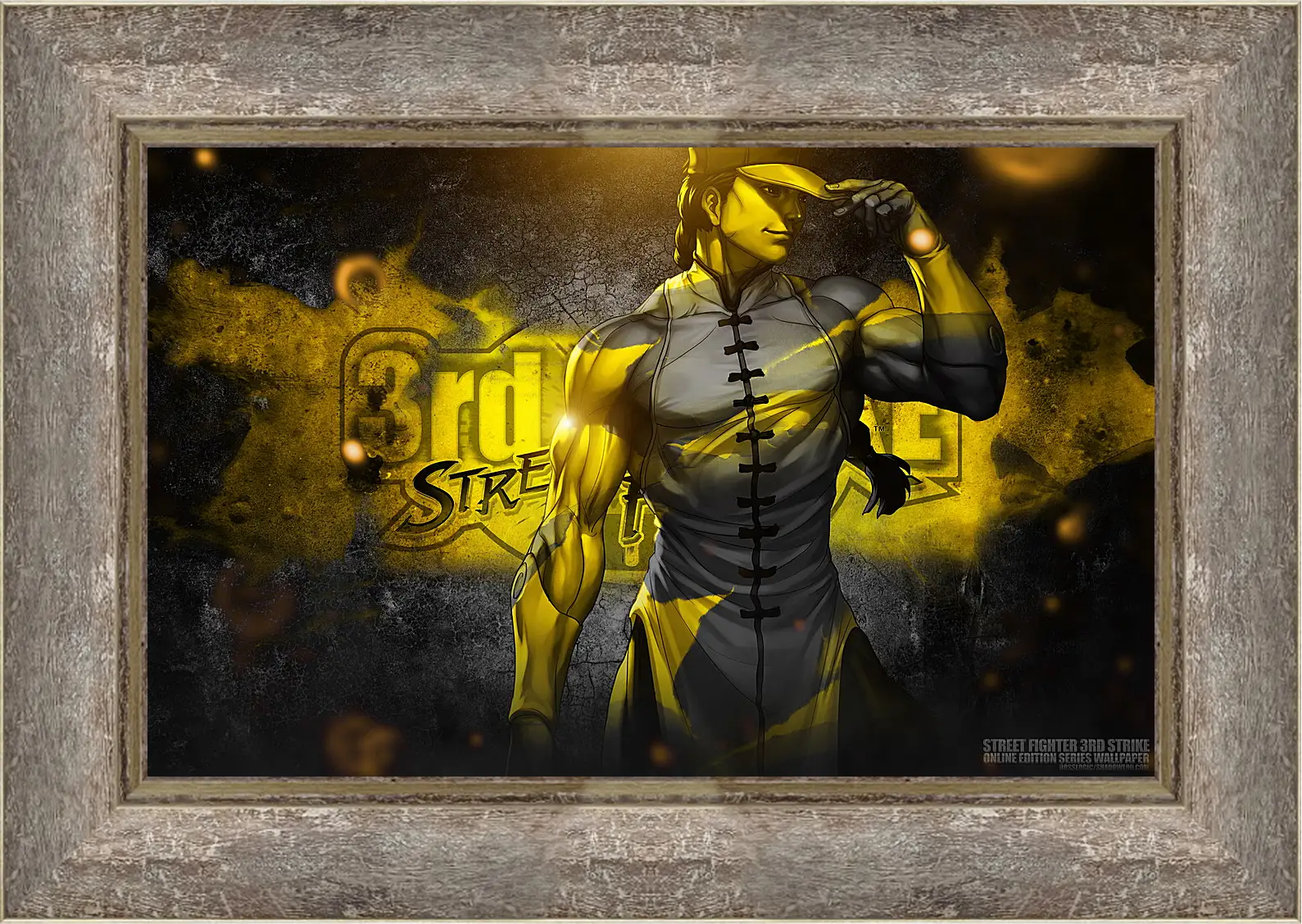 Картина в раме - Street Fighter

