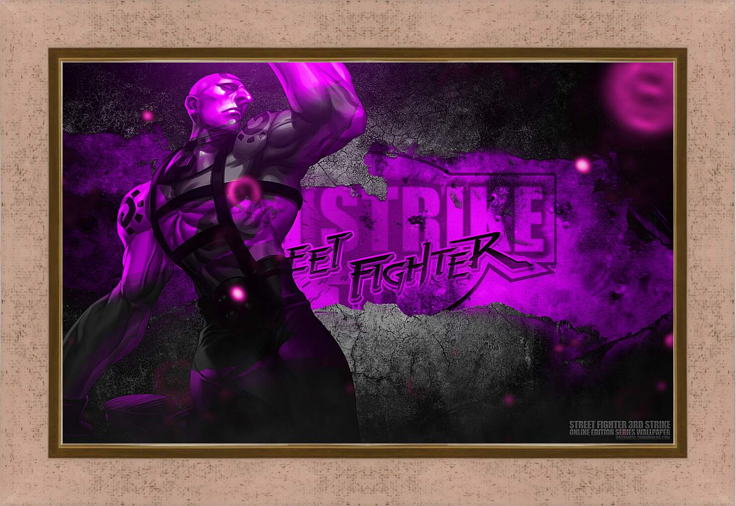 Картина в раме - Street Fighter
