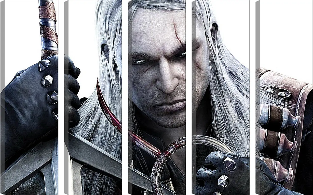 Модульная картина - The Witcher