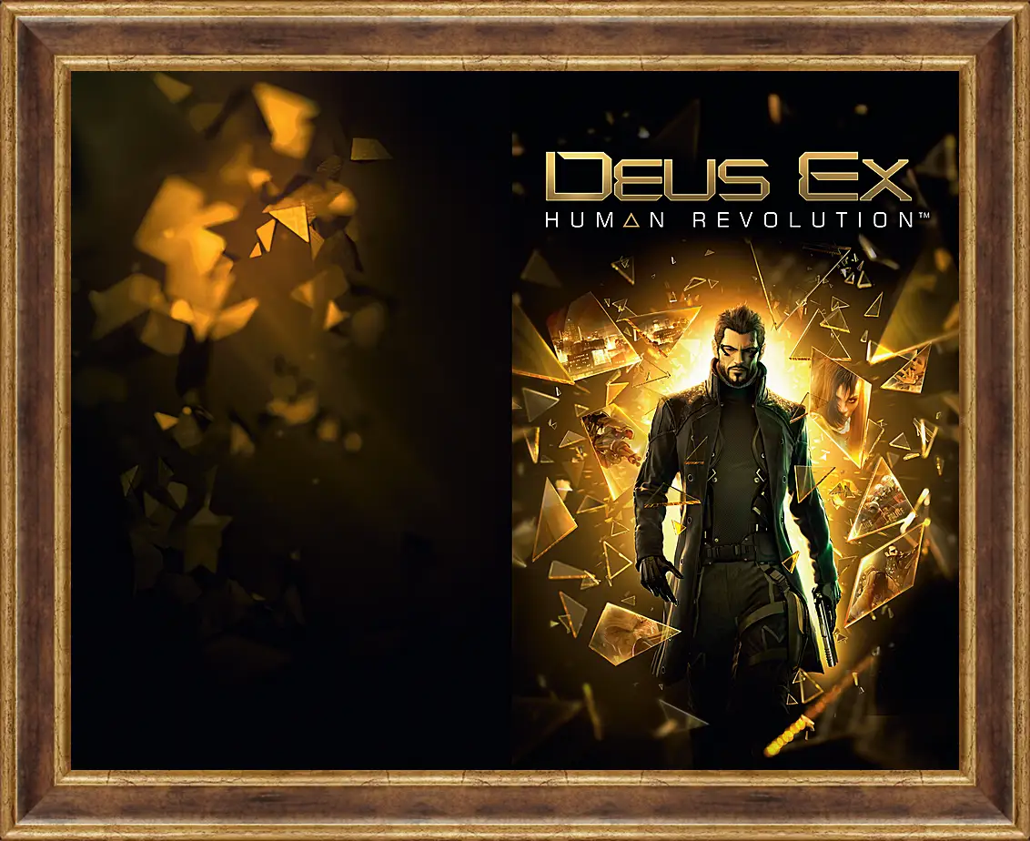 Картина в раме - Deus Ex
