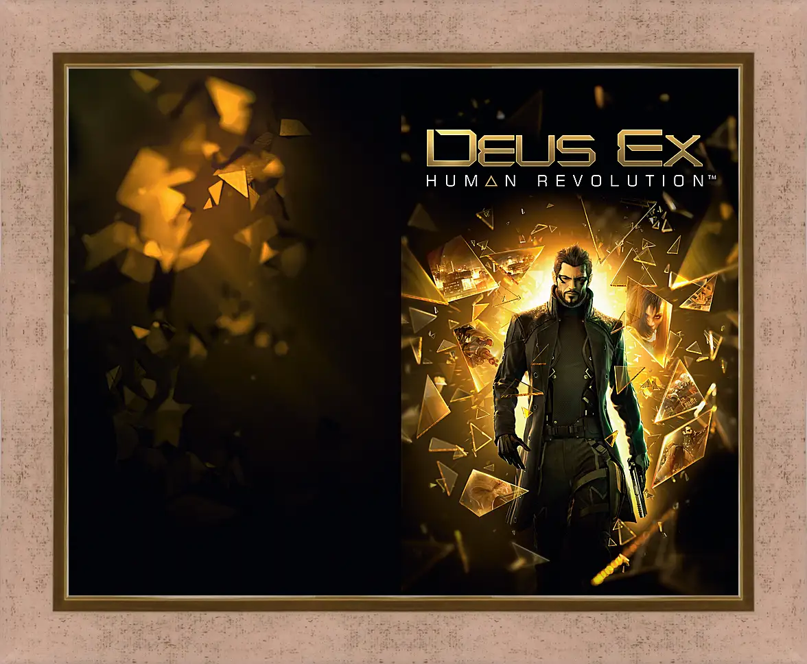 Картина в раме - Deus Ex
