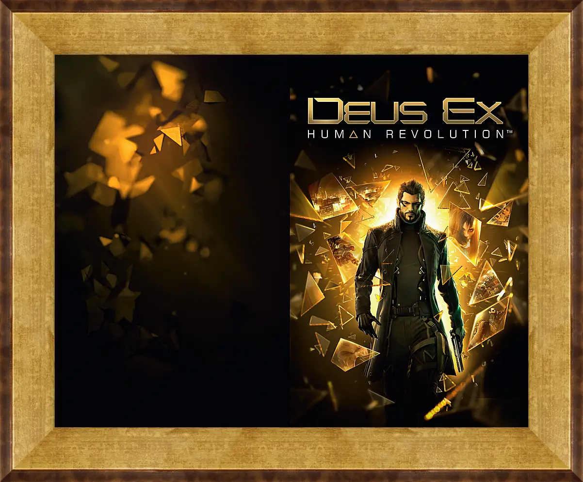 Картина в раме - Deus Ex
