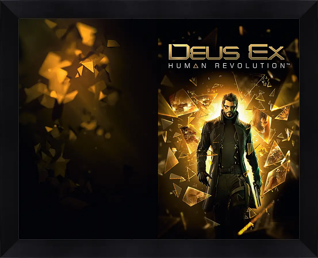 Картина в раме - Deus Ex
