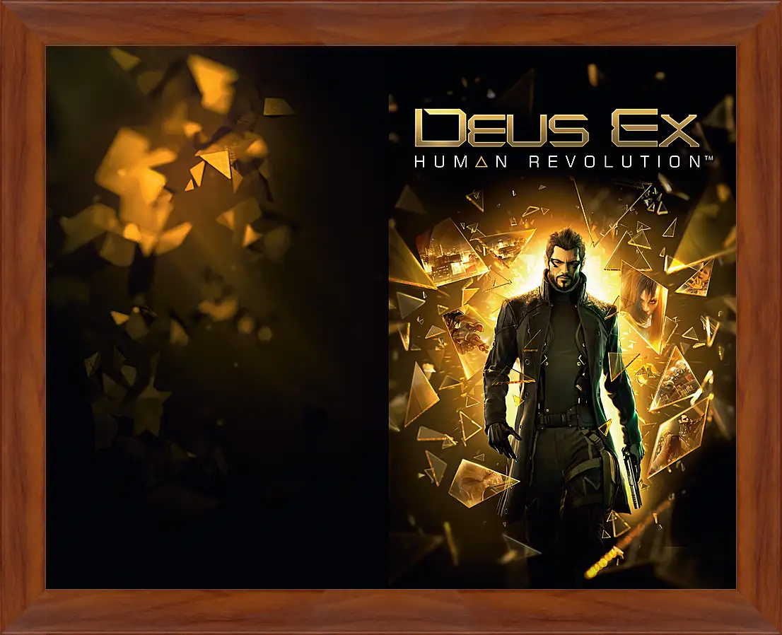 Картина в раме - Deus Ex
