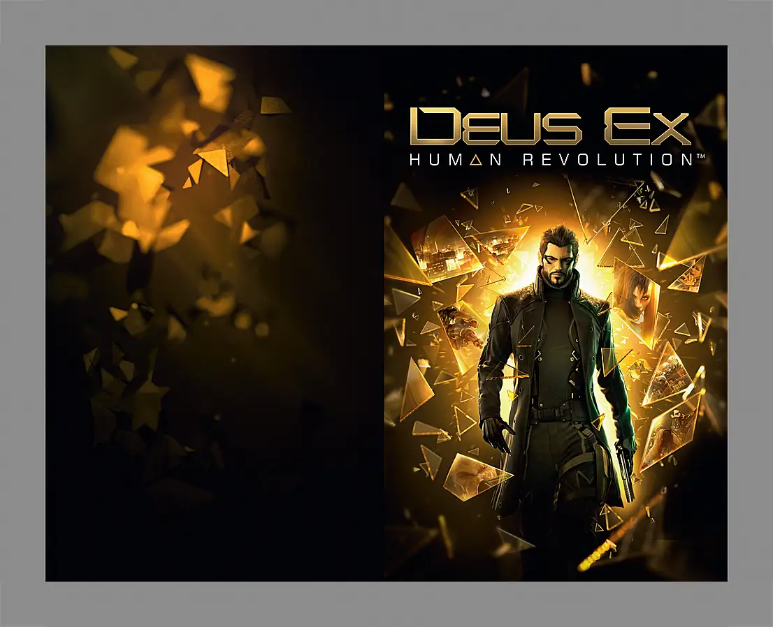 Картина в раме - Deus Ex
