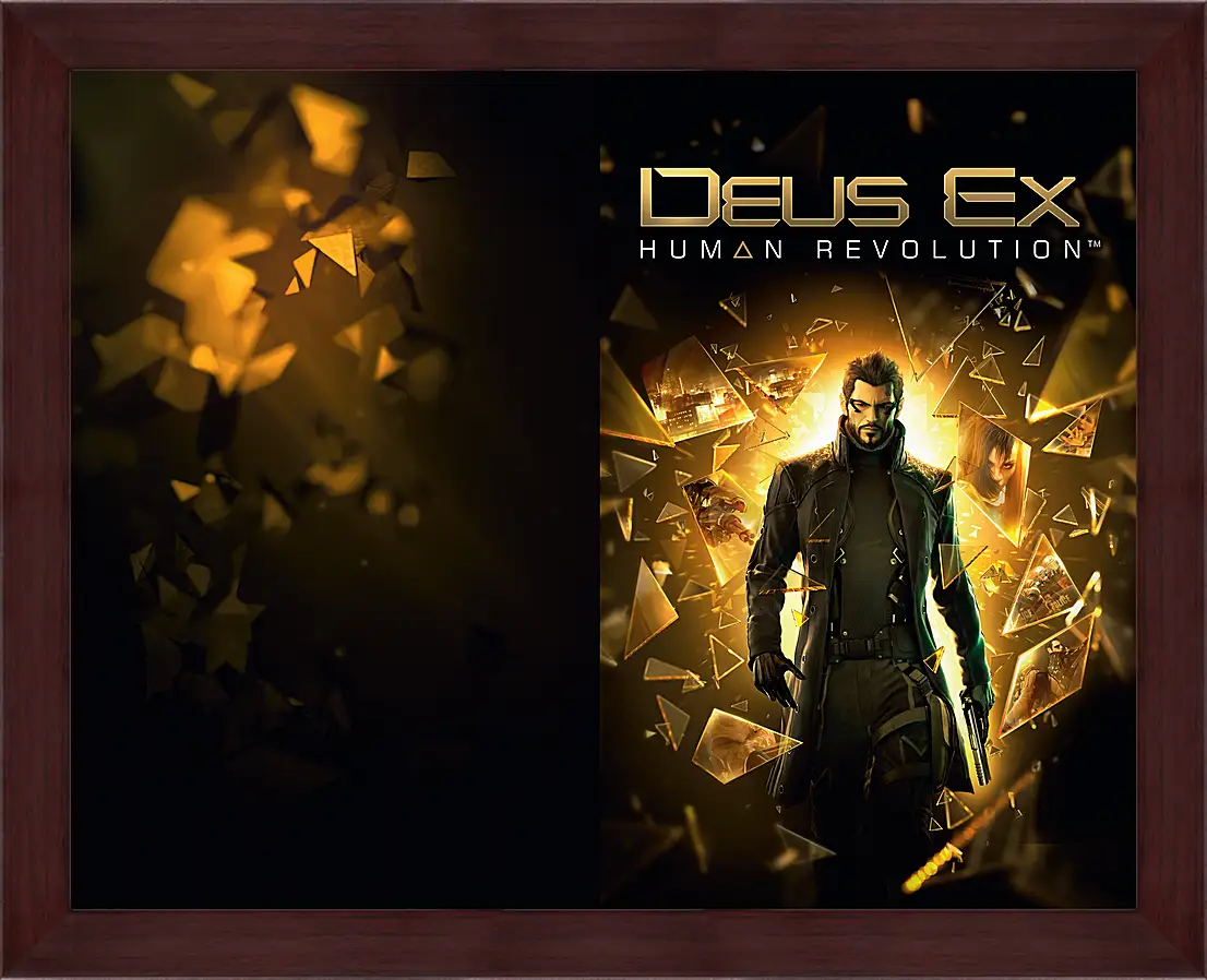 Картина в раме - Deus Ex
