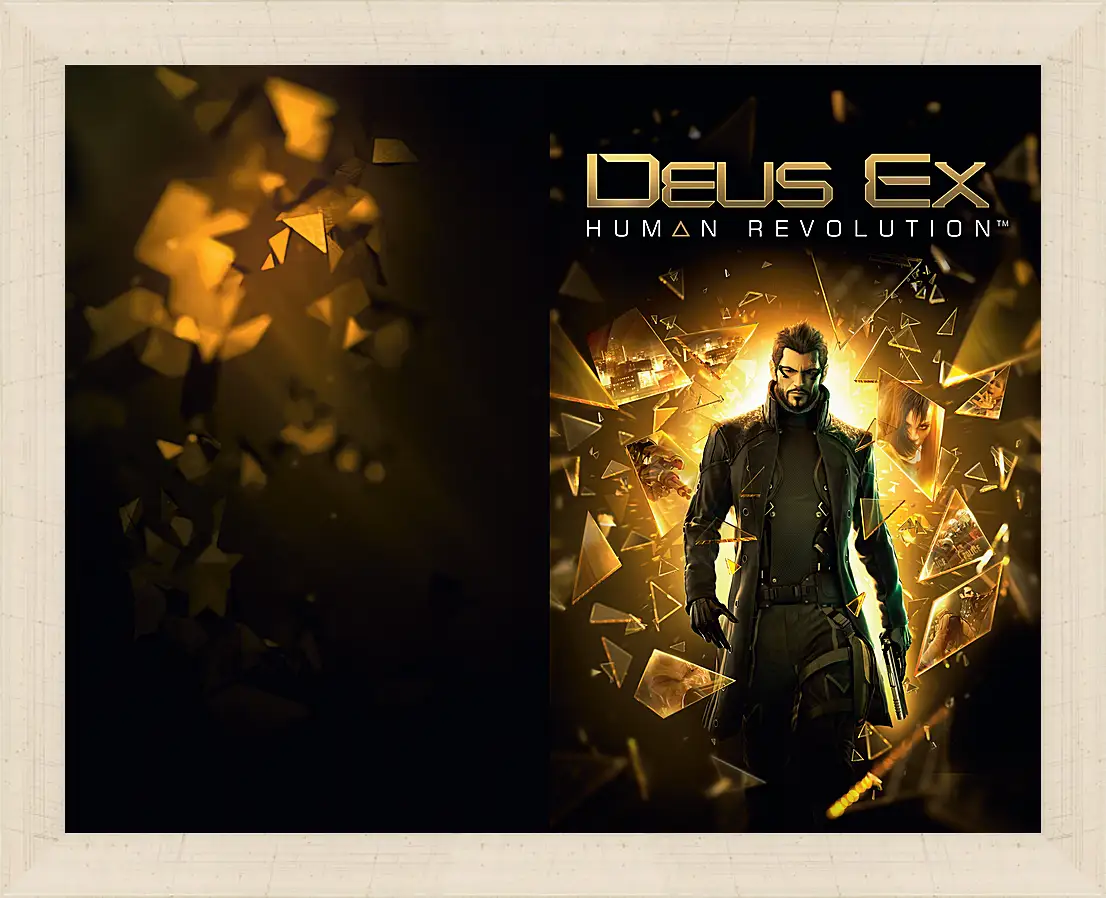 Картина в раме - Deus Ex
