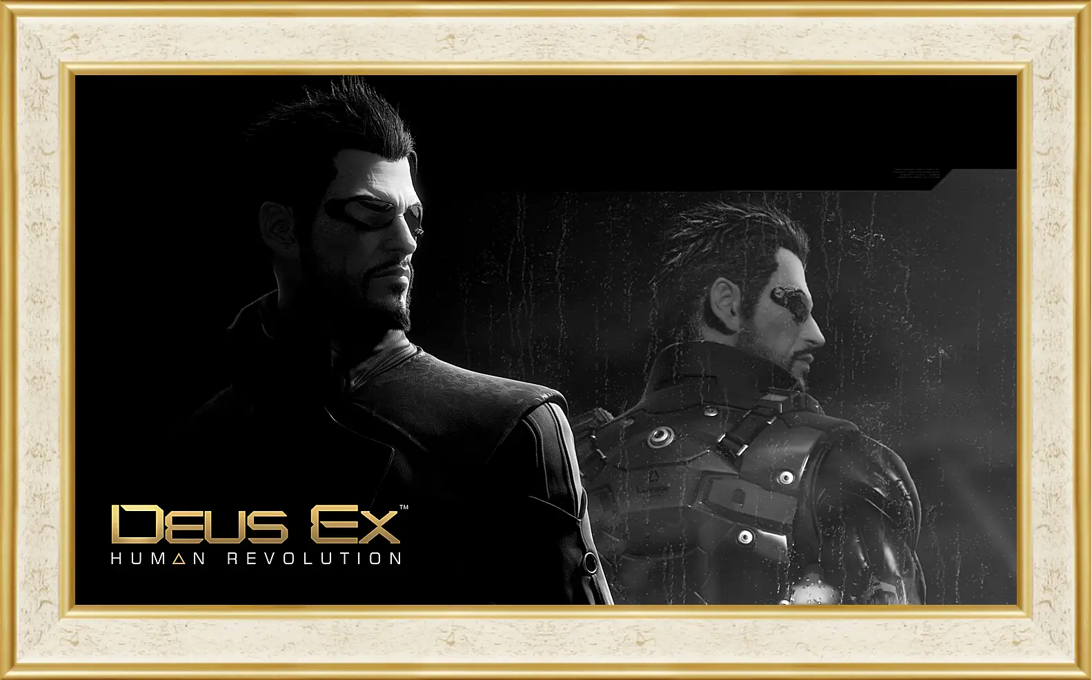 Картина в раме - Deus Ex
