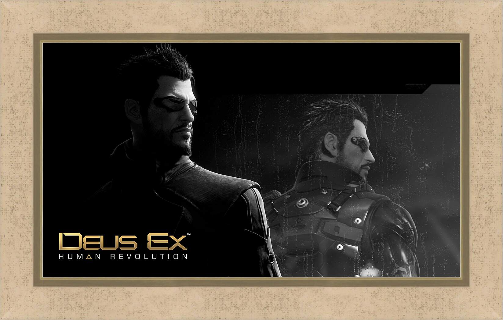 Картина в раме - Deus Ex
