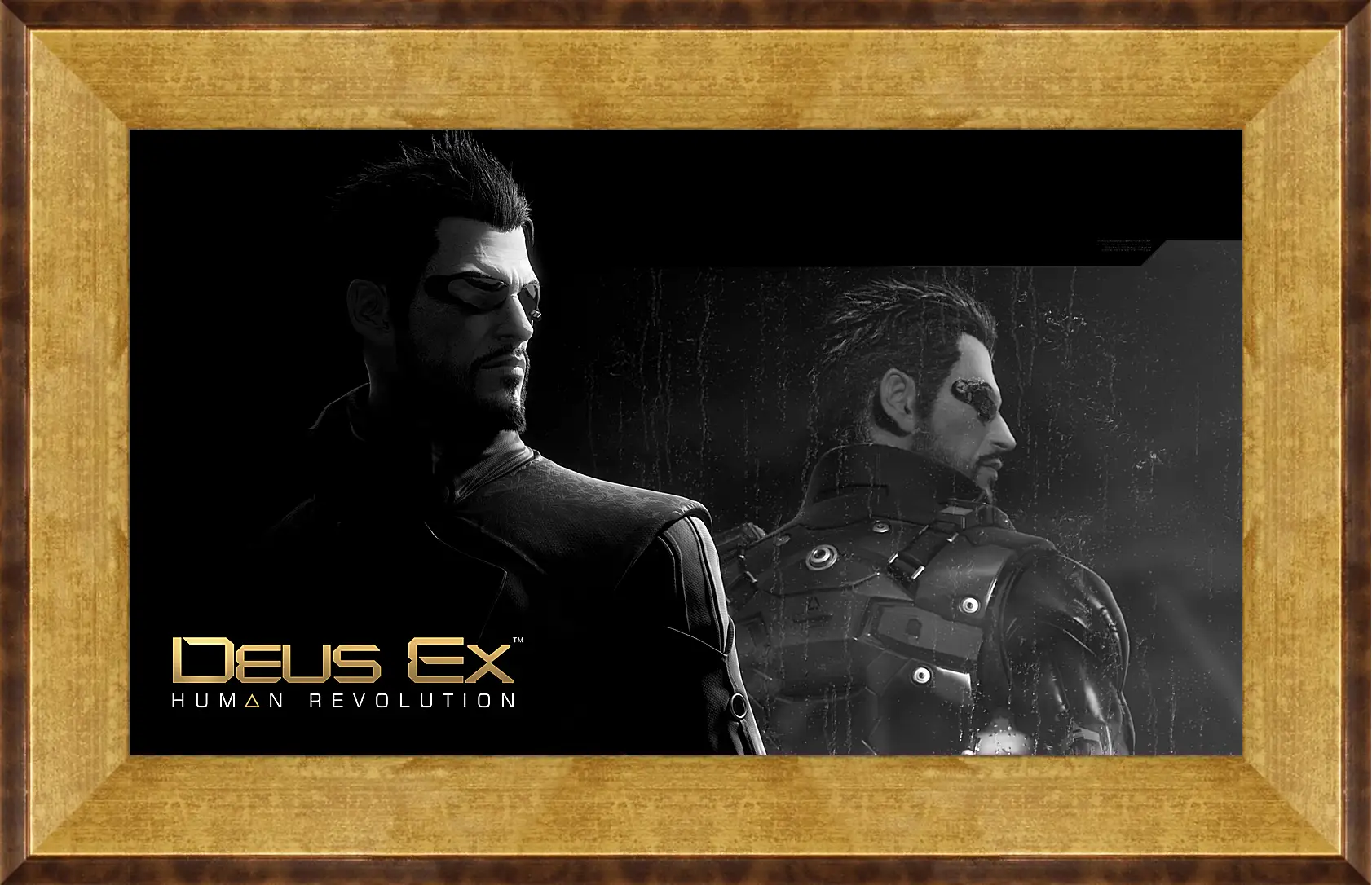 Картина в раме - Deus Ex
