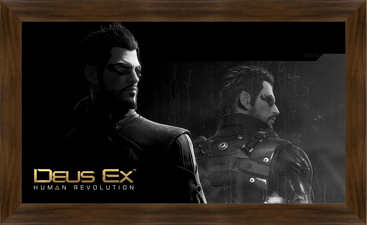 Картина в раме - Deus Ex
