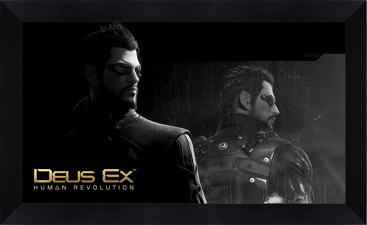 Картина в раме - Deus Ex
